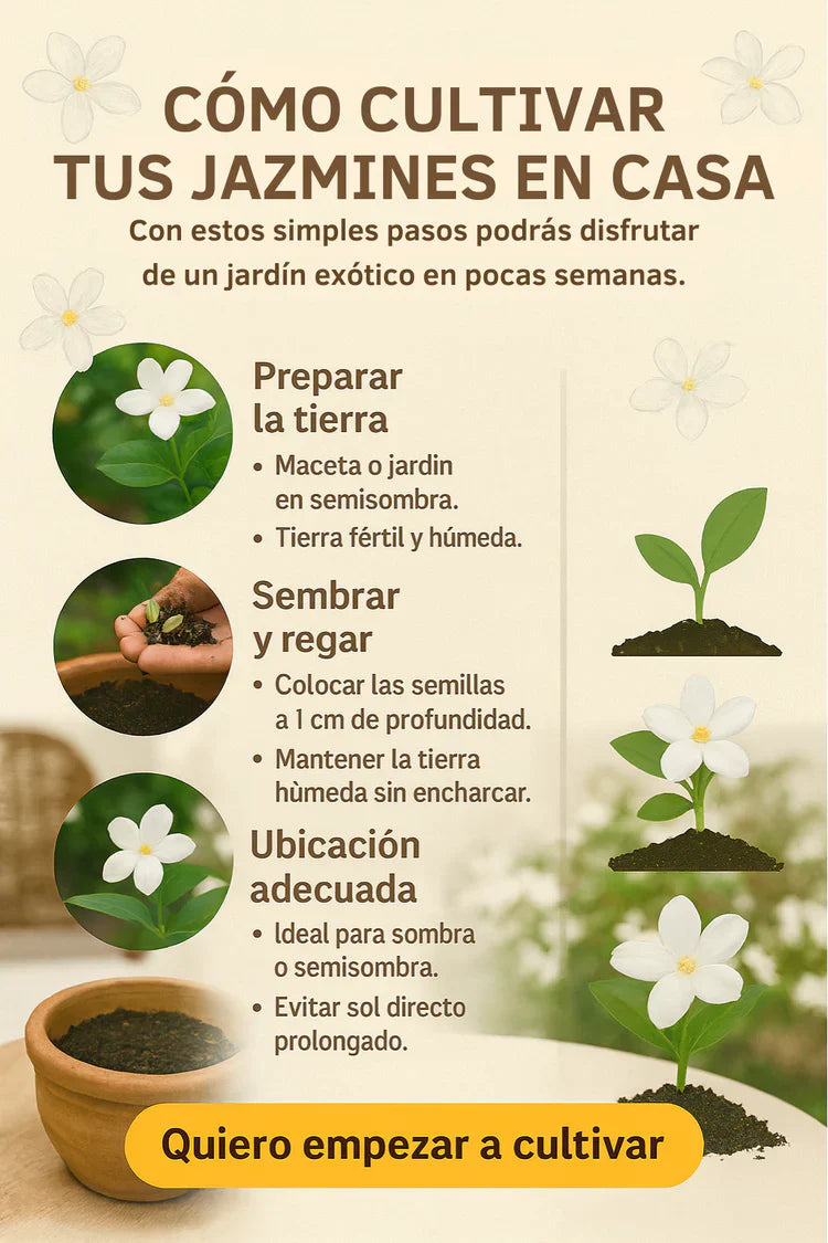 SEMILLA DE JAZMÌN "EL PERFUME DE DIOS"