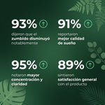 Parches Herbales para Zumbido de Oído pack 12 UD - TINICALM™